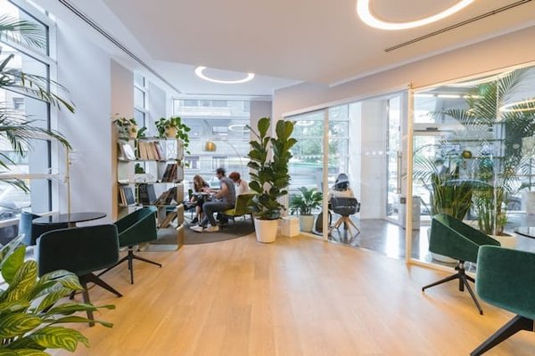 How to incorporate biophilic design in office spaces?